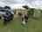 The Skipworth Arms