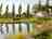 Glamping Kolpa Resort: Looking across the lake to the tents 