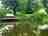 Riverside Paddle and Stay: Wild swimming area