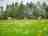 Woodcroft Farm: View of the cabins