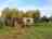 Foxwold Huts and Camping: Visitor image of the off grid paradise