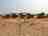 Rooisand Desert Ranch: Ideal for larger groups with shared kitchenette & dining area 