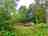 English Forest Experience: Woodland-based yurt and decking