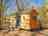 Bluebell Shepherd's Hut: Shepherds Hut