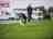 Holiday Resort Unity: Dogs welcome on the pitches 