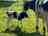 Wraysholme Creamery: Dairy farm (photo added by manager on 04/28/2025)