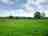 Danes Moss Farm: Open space for pitches (photo added by manager on 10/07/2024)