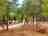 Camping La Bolera