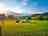 The Nipstone Campsite: Visitor image of the pitches 