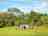 Dewslake Farm Camping and Glamping
