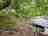 Tafarn-Y-Garreg Campsite: Riverside camping