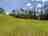 Meadowfields Campsite: Non-electric grass tent pitches (photo added by manager on 05/09/2025)
