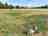 West End Farm Camping: Hetty the spaniel inspecting the camping field 