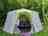 Wrekin Forest Events Camping 