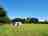 Nelson Brook Farm