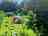 Gover Green Space: Woodland camping spot