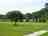 Camping at The Manor: The land