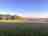 Cothelstone Estate: View from the campsite over West Somerset and the neighbouring woodland