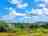 Rhea Farm and Fishery: Very relaxing