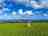 Trewarveneth Manor Farm Camping: Grassy pitches and views (photo added by manager on 03/31/2023)