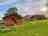 Little North Field Glamping: The safari tents (photo added by manager on 03/21/2022)