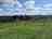 Butcombe New Woods: Views of Blagdon Lake