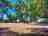 Il Forte Camping Village: Pitches under mature trees