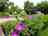 Camping La Fritillaire: Landscaped site