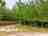 Camping Hoces de Mira: Site entrance 