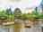 River Dart Country Park: Desert island and the pirate ship in the pond (photo added by manager on 07/07/2025)