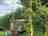 Greenhill Farm Glamping (photo ajoutée par le gestionnaire le 26 mars 2023)