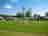 Kampeerpark De Boshoek: Grass pitches