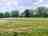 Little Fish Meadow 