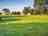 Walnut Tree Meadow Camping: Spacious pitches 