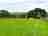 Orchard Farm: Visitor image of their tent in the field