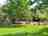 Somerset Garden Yurt and Gypsy Caravan: Garden