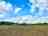 Small Trees Campsite: Visitor image of the great outdoors
