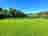 Glynbrochan Campsite: Green grass