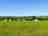 Wookey Farm: Meadow pitches