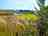 Marshwood Farm: Camping field
