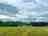 Sunrise Hill Campsite: Views (photo added by manager on 29/08/2023)