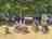 Camping du Puy-en-Velay: Biking