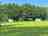 River View Camping and Caravans: Pitches on site