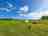 Church Farm: Dog friendly camping