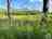 Overwater Woodlands: View of Skiddaw 