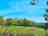 Buckland Farm Camping: Dog friendly, family friendly, farm camping