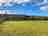 Cokes Farm: The camping field