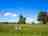 The Meadow at Waples Mill: Meadow view