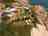 Camping and Glamping Muiñeira: Close to the sea and beaches 