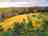 Grove Hill Campsite: Aerial view of the Grove hill campsite (photo added by manager on 17/07/2024)